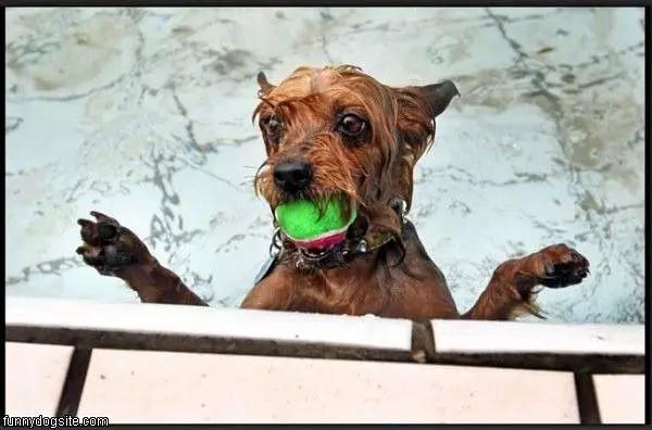 I Got The Ball