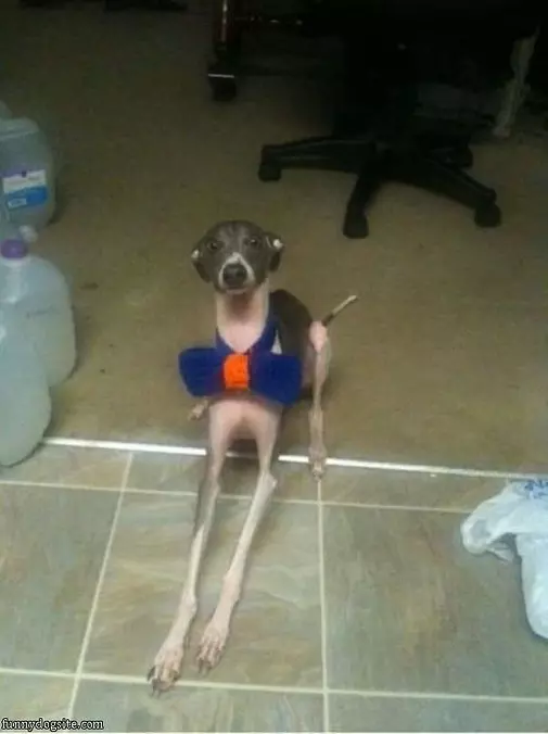 Super Long Legs