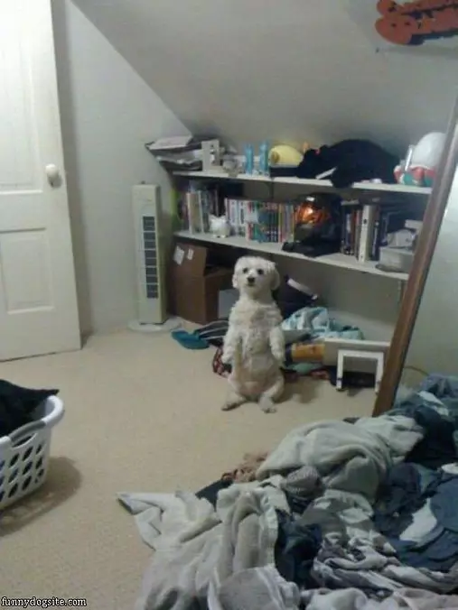 Im Sitting