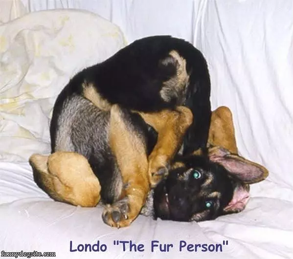 Londo