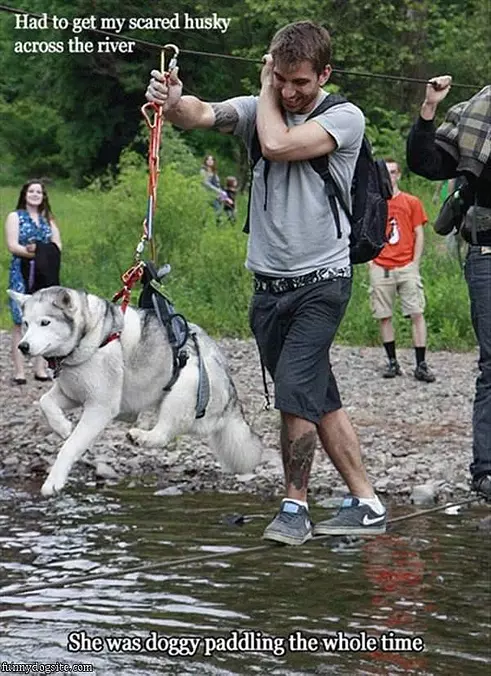 Doggy Paddling