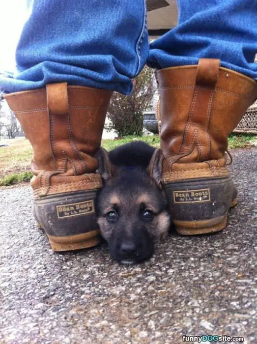 I Will Hide Here