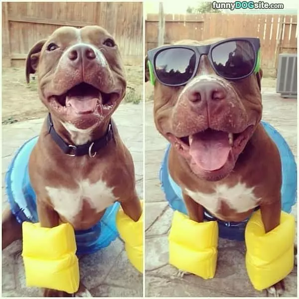 Ready For A Swim