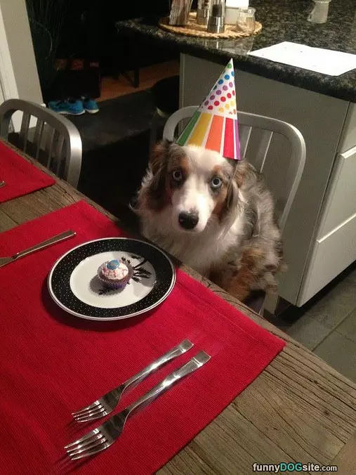 Just Let Me Eat It Already