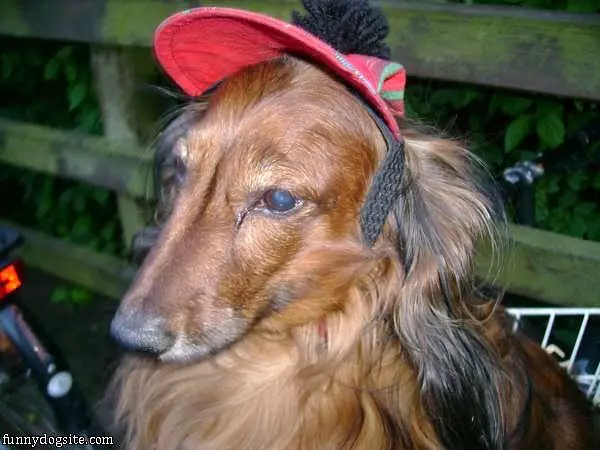 Nice Hat