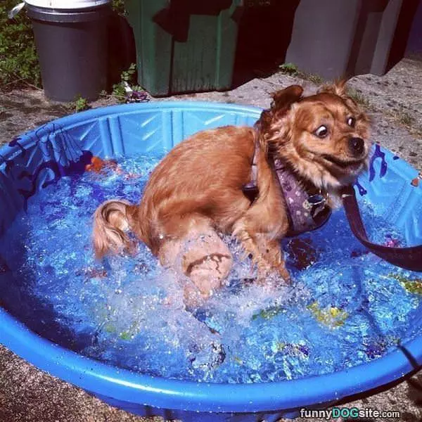 This Is Cold Water