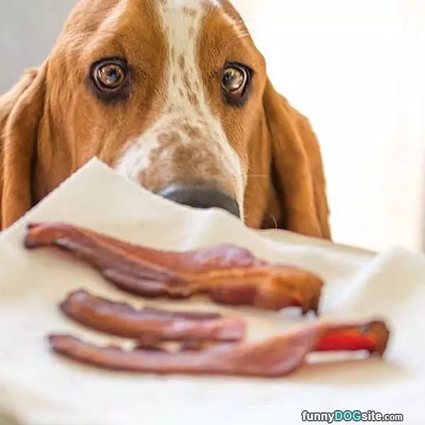 Can I Have A Slice