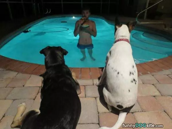 We Would Like A Snack Too