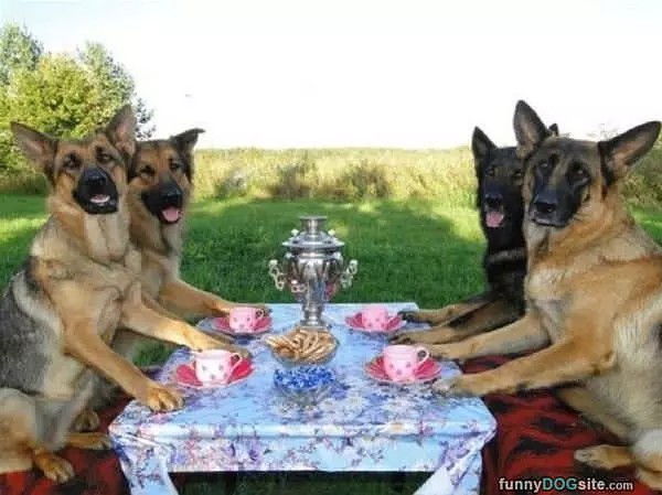 Having A Tea Party