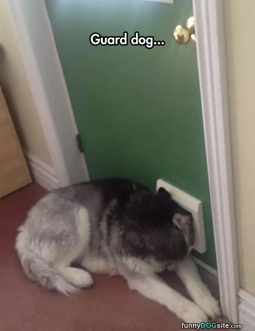 Guard Dog