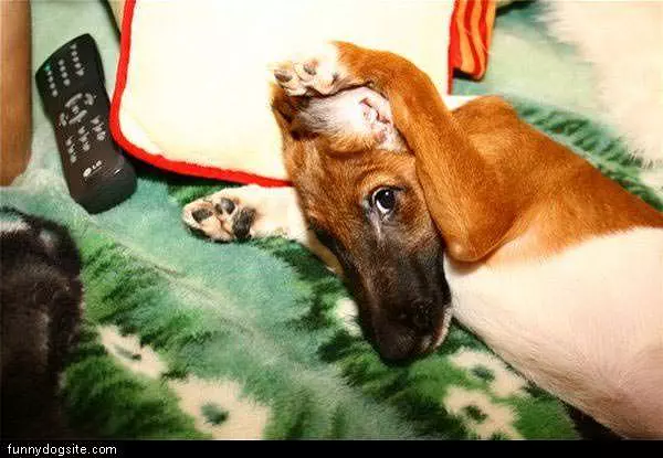Cover My Ears