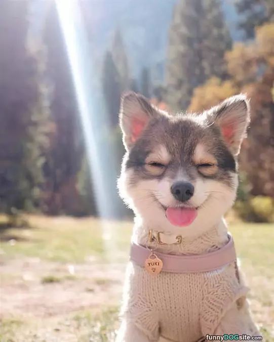 I Am Yuki