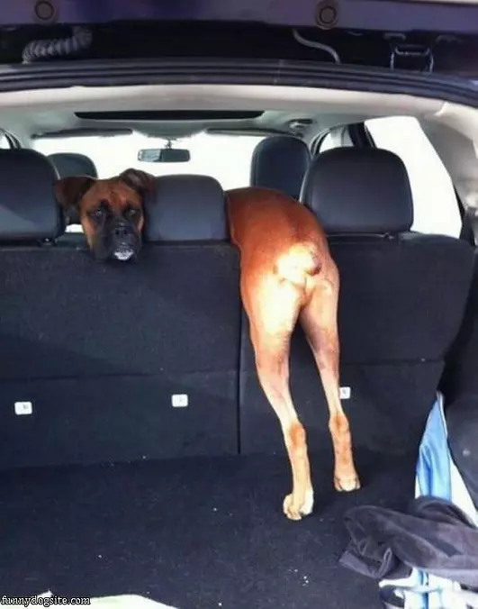 Can We Go For A Ride Now