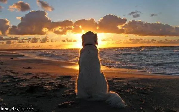 Beautiful Sunset