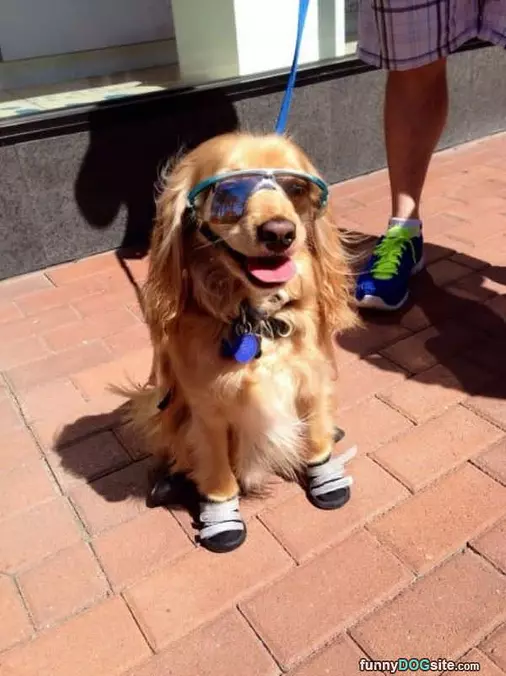 Ready For A Long Walk