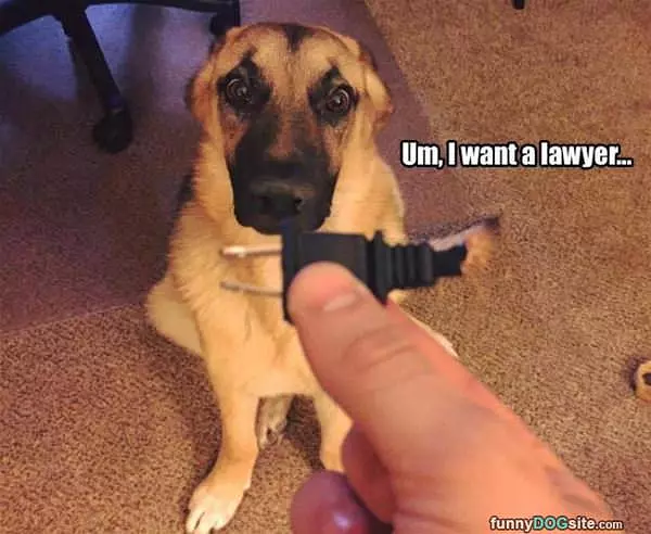 I Want A Lawyer