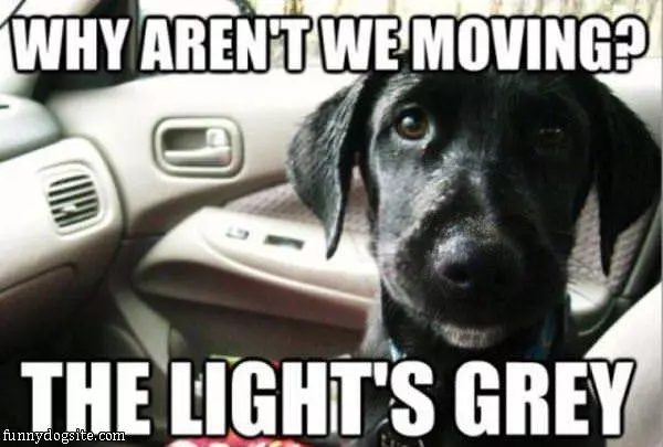 Time To Go