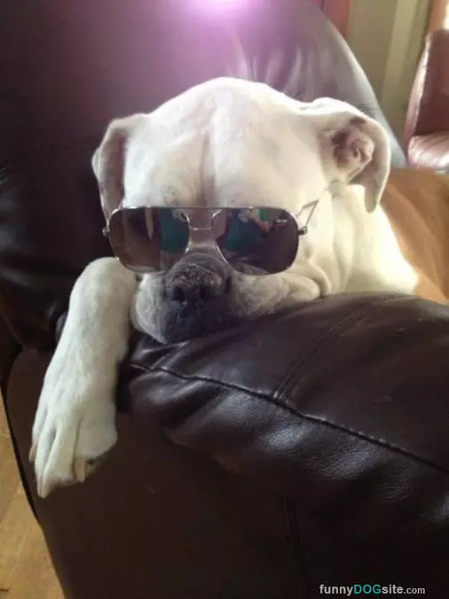 Glasses On
