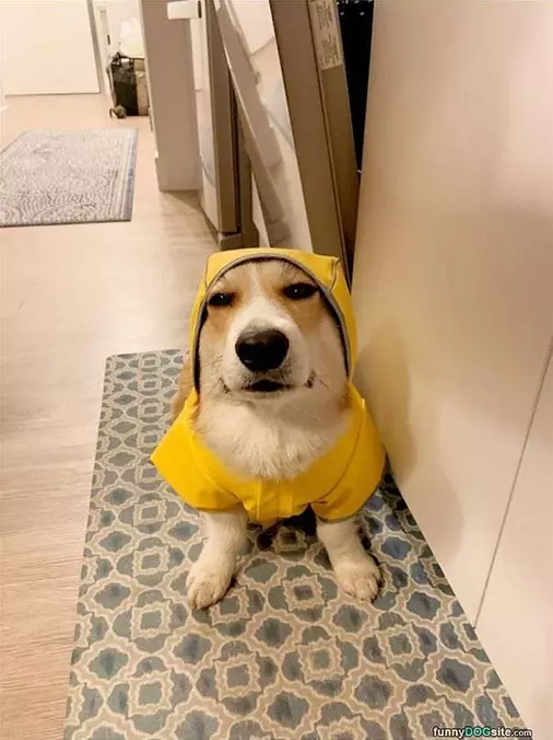 Raincoat
