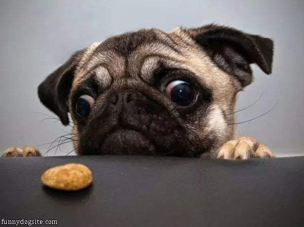 I Loves Snacks