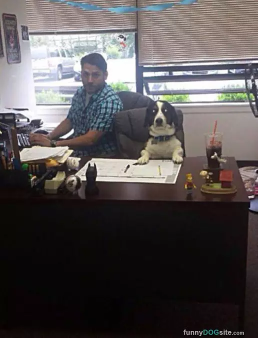 Can We Help You