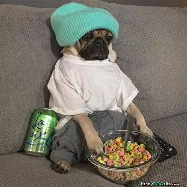 Having A Lazy Day