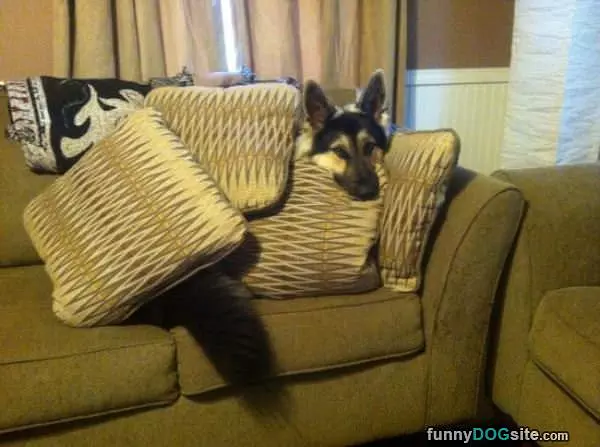 I Has A Fort