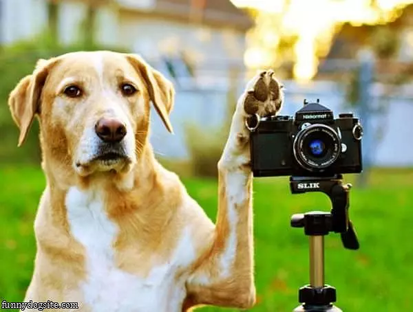 Smile For The Camera