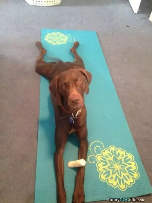 Doing Some Yoga