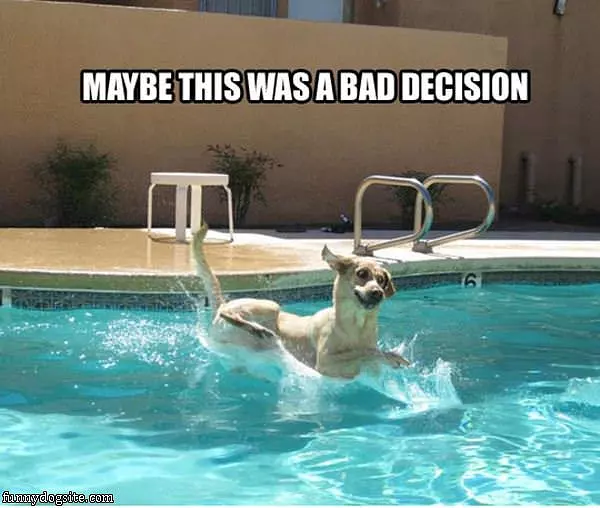 Maybe It Was