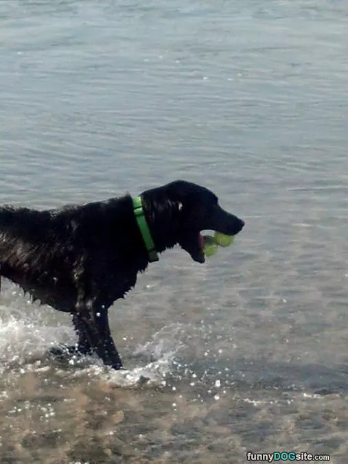 Double Fetch