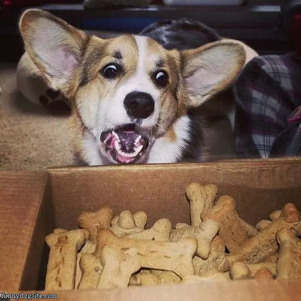 Oh I Want These Snacks