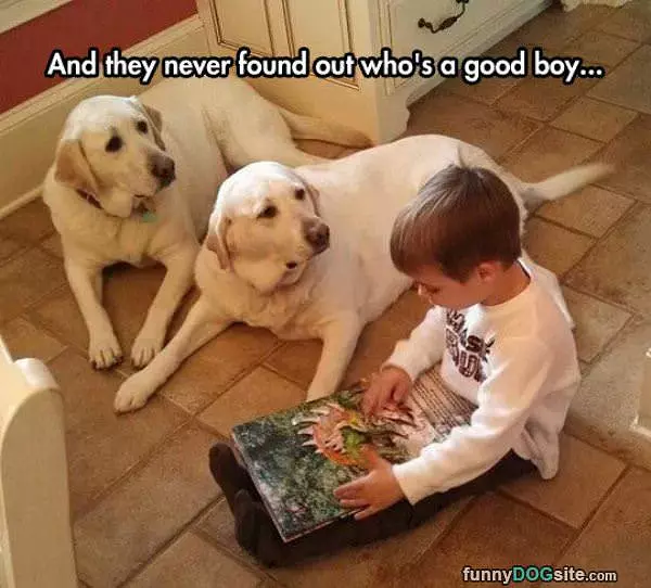 Never Found Out