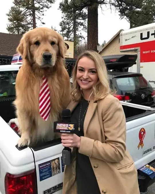 An Important Interview