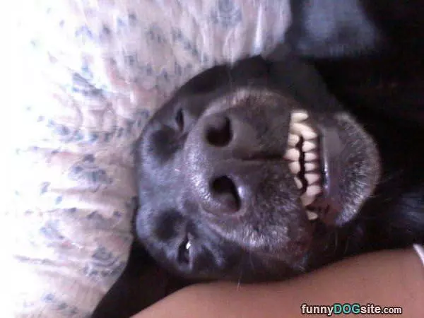 Big Smile