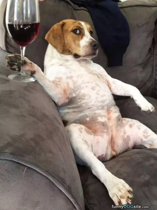 Having A Relaxing Day