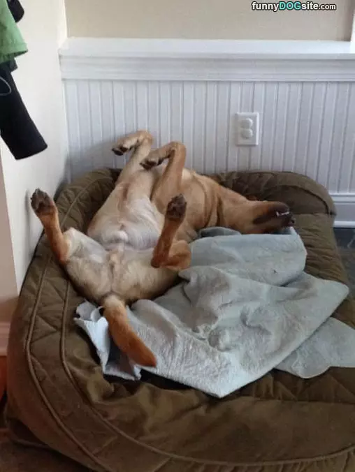 Relaxing Around