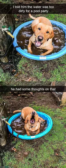 Too Dirty For A Pool Party