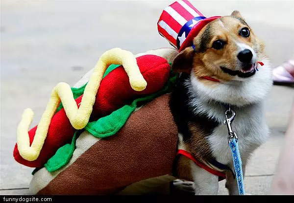 Hot Dog
