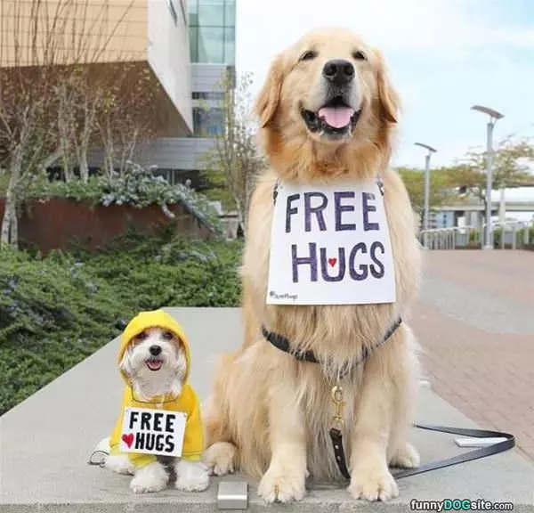 Some Free Hugs