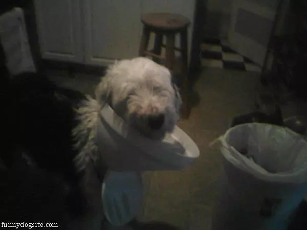 Caught Red Handed