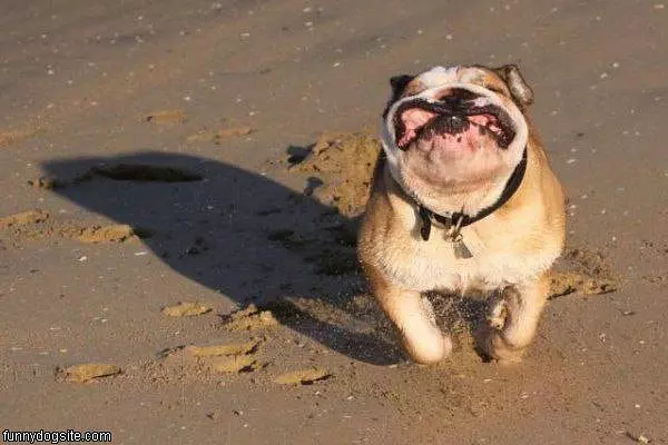 Runnin So Fast