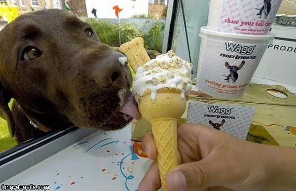 Ice Cream