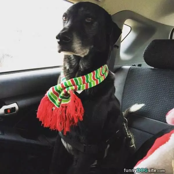 Keeping Warm With Style