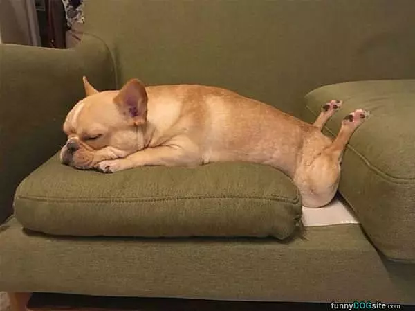Sooo Relaxed