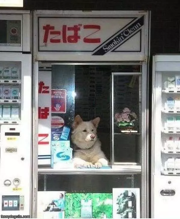 Can I Help You