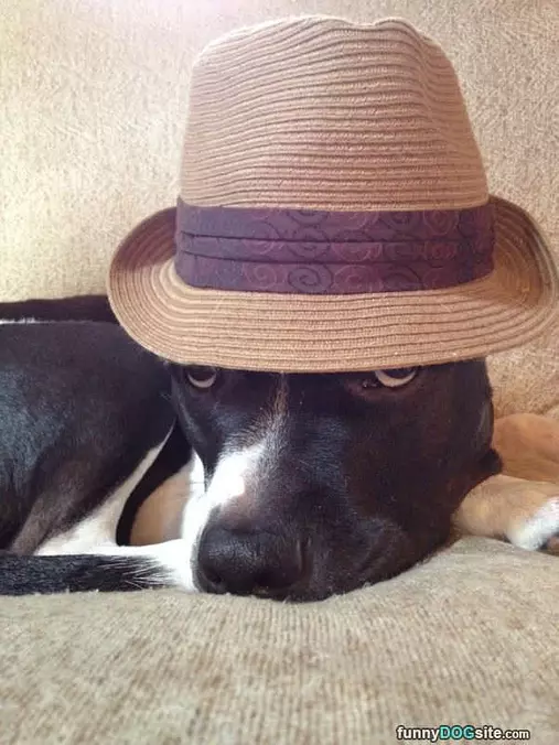 My Detective Hat
