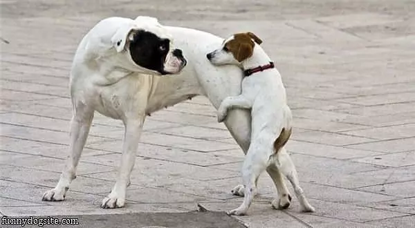 Get Off Me