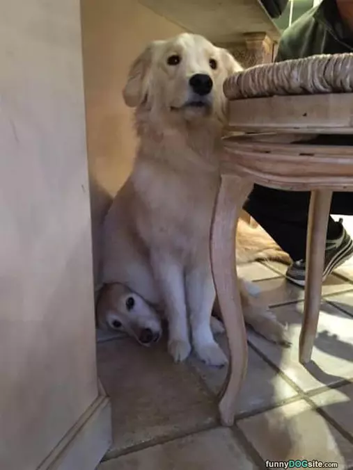 Sitting On My Buddy