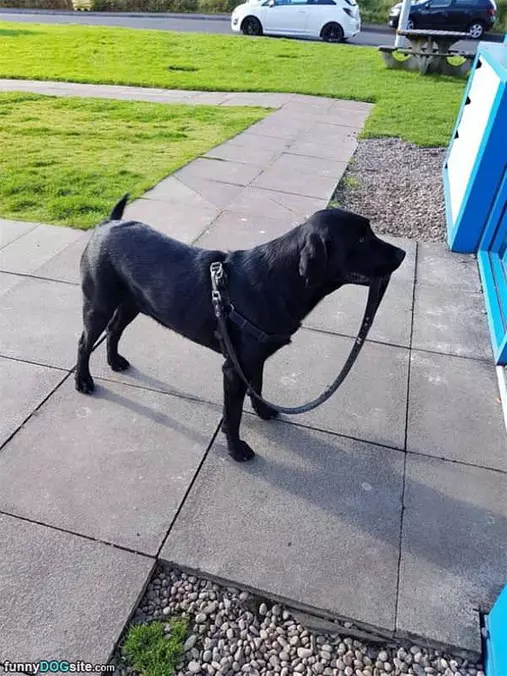 I Walk Myself